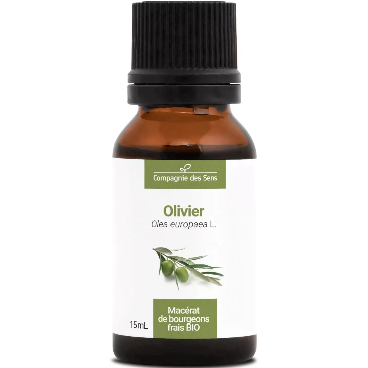 Olivier bio (Olea Europaea) – Macérat concentré de bourgeons frais