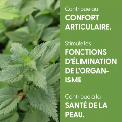 Ortie bio (Urtica Dioica) – Extrait hydroalcoolique concentré