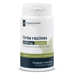 Ortie racines concentrées