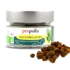 Pain d'Abeilles bio