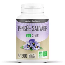 Pensée Sauvage bio