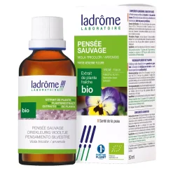 Pensée Sauvage (Violette Tricolore) bio – Viola Tricolor – Extrait hydroalcoolique concentré