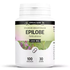 Épilobe