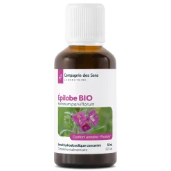 Épilobe bio (Epilobium Parviflorum) – Extrait hydroalcoolique concentré