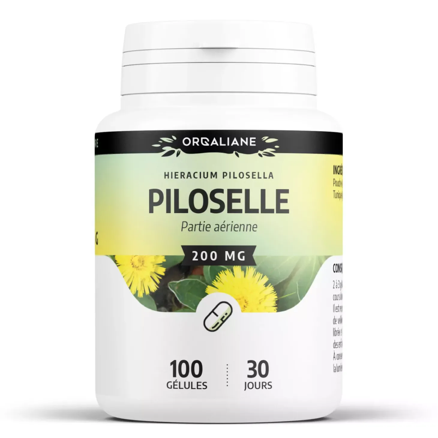 Piloselle – Hieracium pilosella – 100 gélules de 200 mg