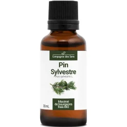 Pin Sylvestre bio (Pinus Sylvestris) – Macérat concentré de bourgeons frais