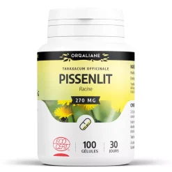 Pissenlit bio