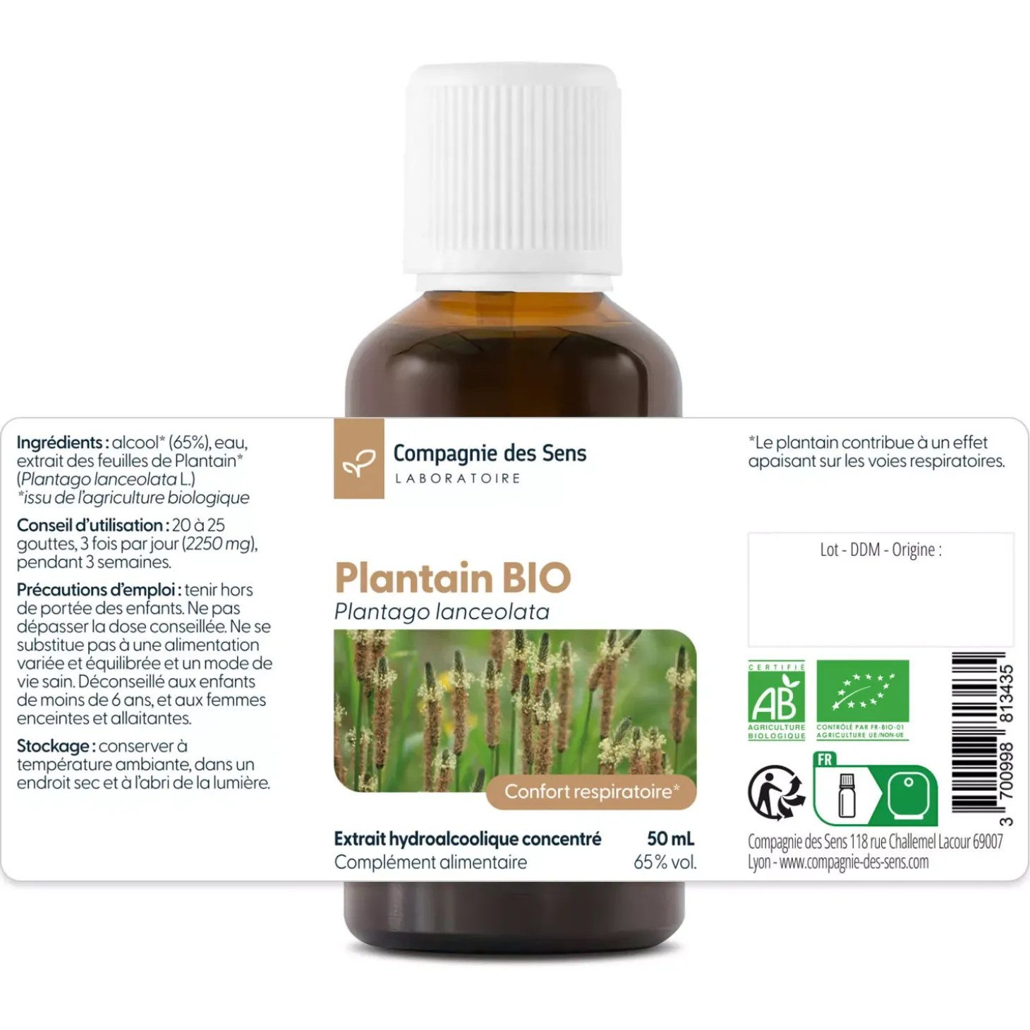 Plantain Lancéolé bio (Plantago Lanceolata) – Extrait hydroalcoolique concentré