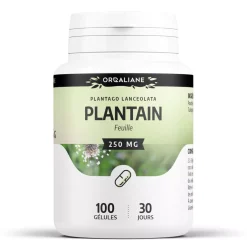 Plantain – Plantago lanceolata – 100 gélules de 250 mg