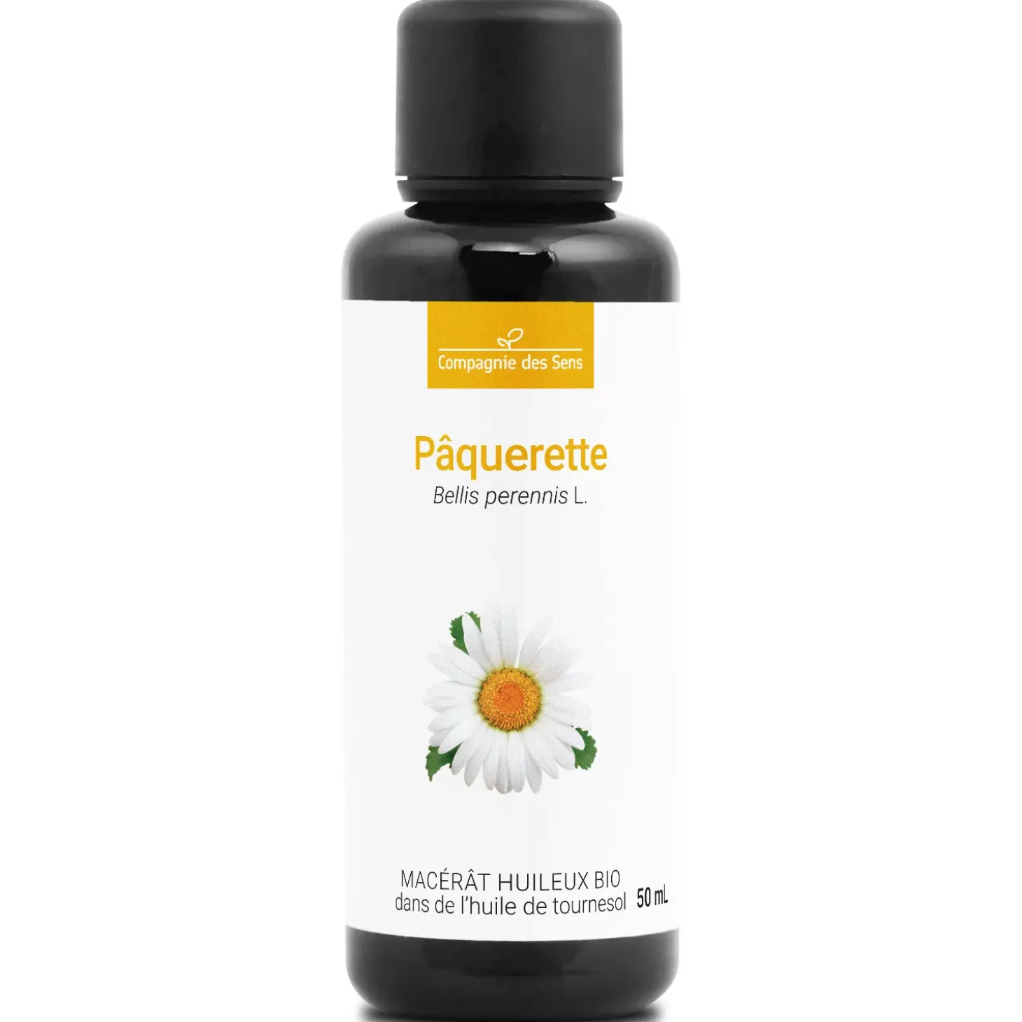 Pâquerette