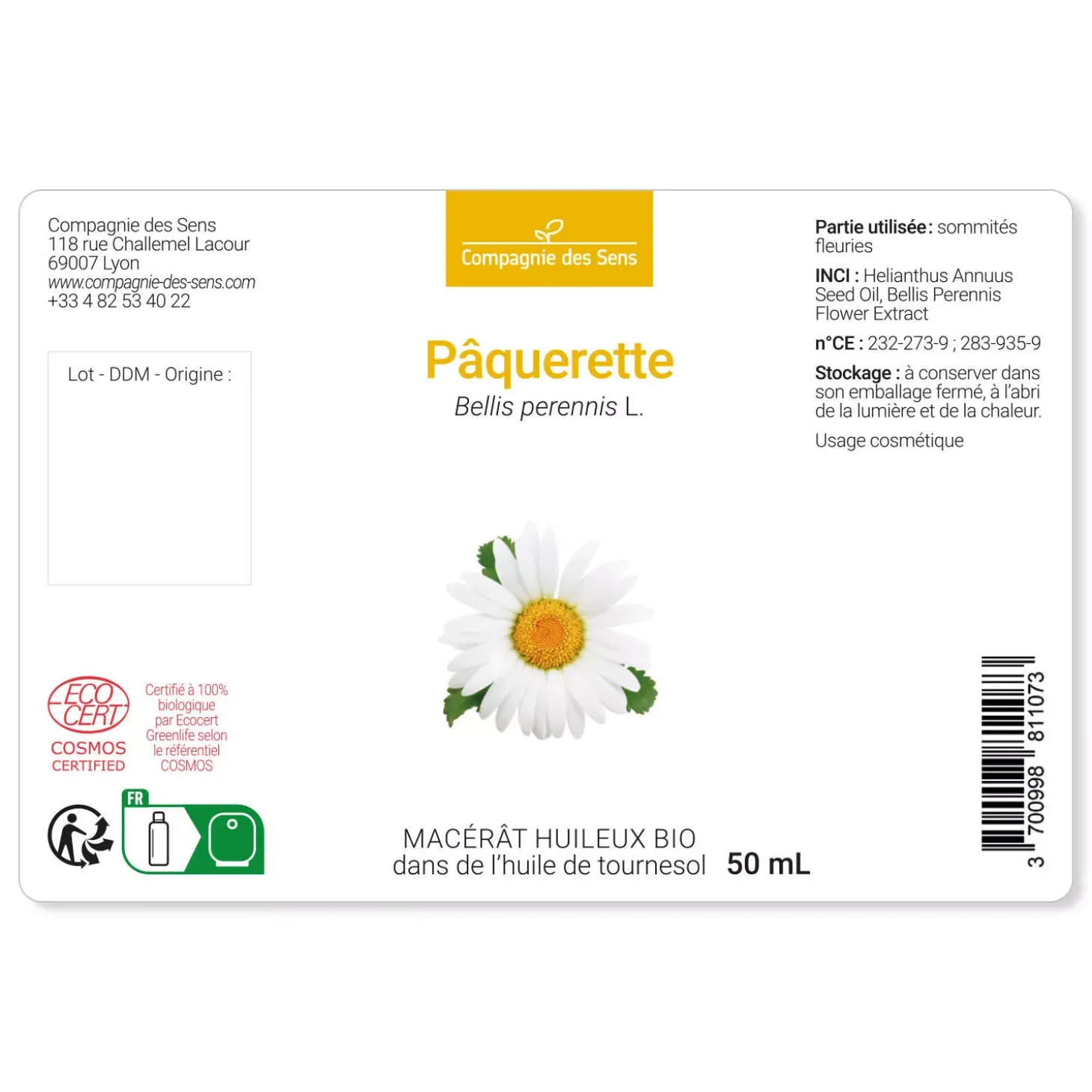 Pâquerette