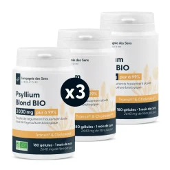 Psyllium blond bio