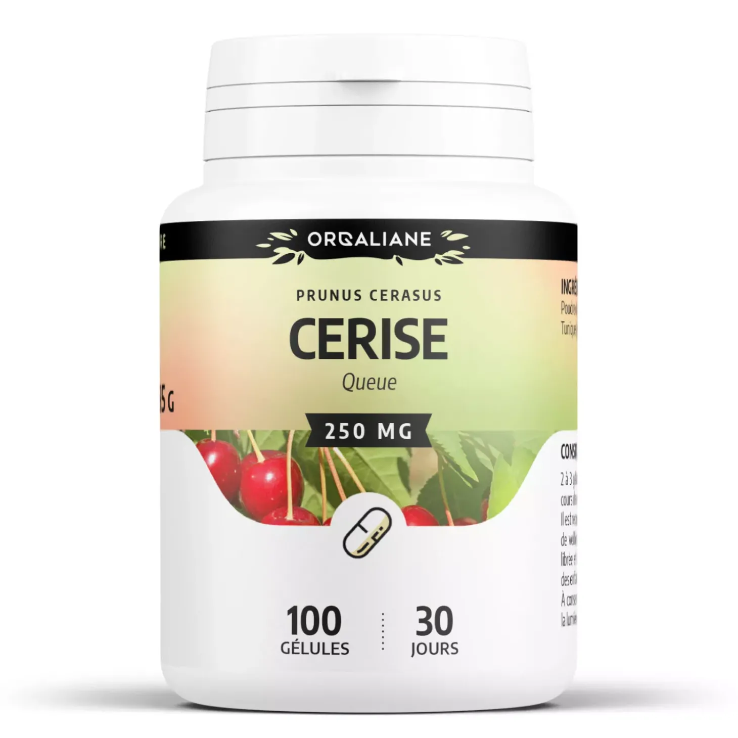 Queues de Cerise – Prunus cerasus – 100 gélules de 250 mg