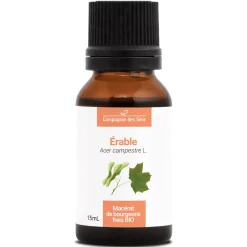 Érable bio (Acer Campestre) – Macérat concentré de bourgeons frais