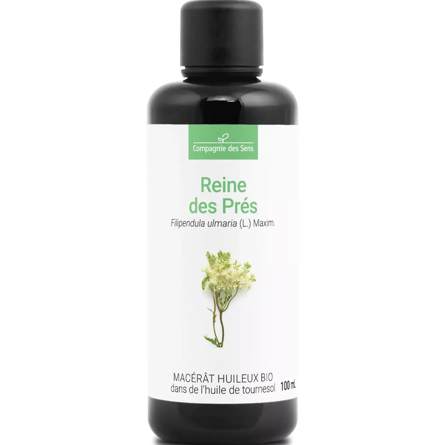 Reine des Prés