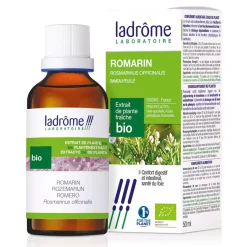 Romarin bio – Rosmarinus Officinalis – Extrait hydroalcoolique concentré