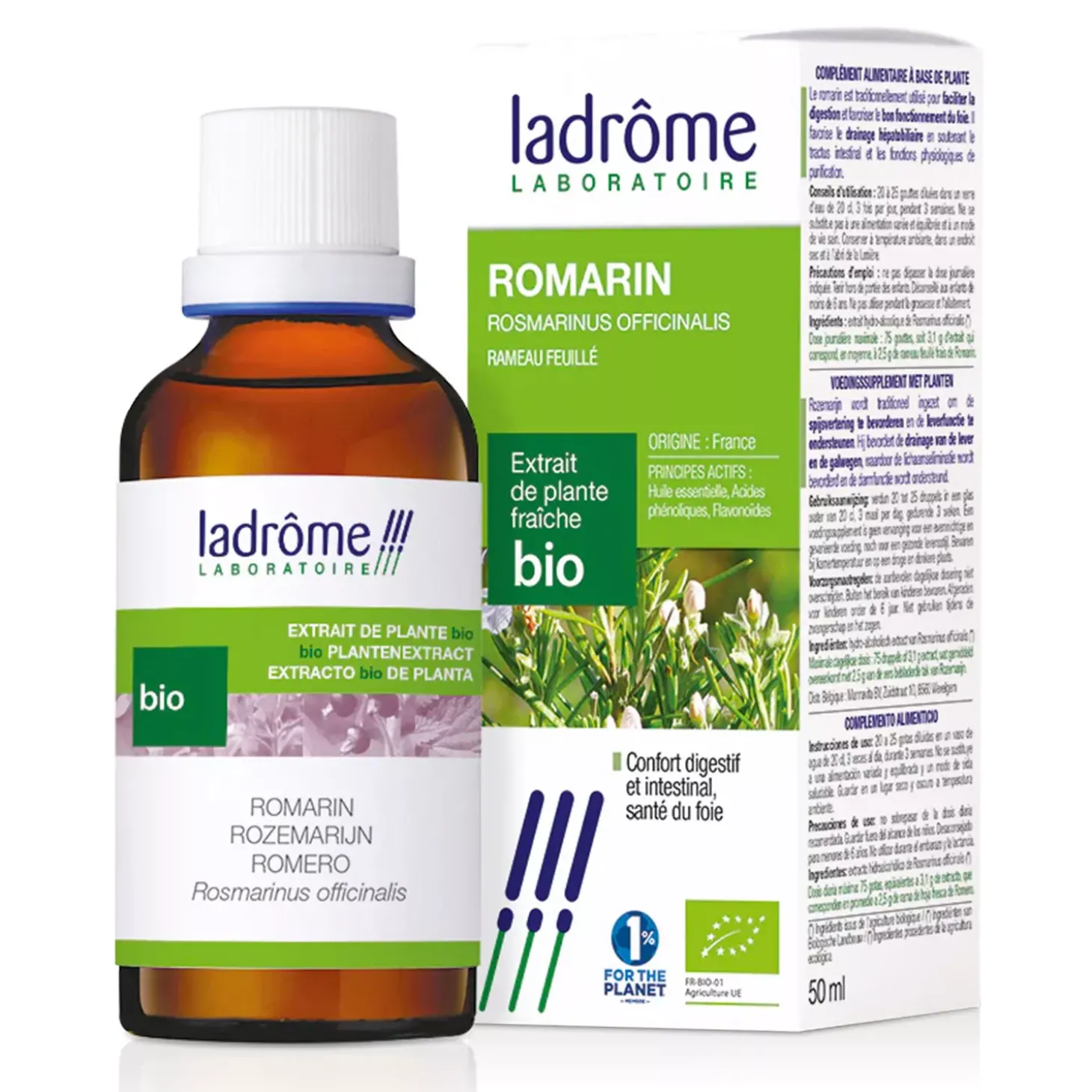 Romarin bio – Rosmarinus Officinalis – Extrait hydroalcoolique concentré