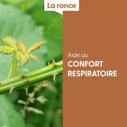 Ronce bio (Rubus Fruticosus) – Macérat concentré de bourgeons frais