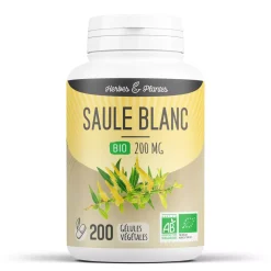 Saule Blanc bio