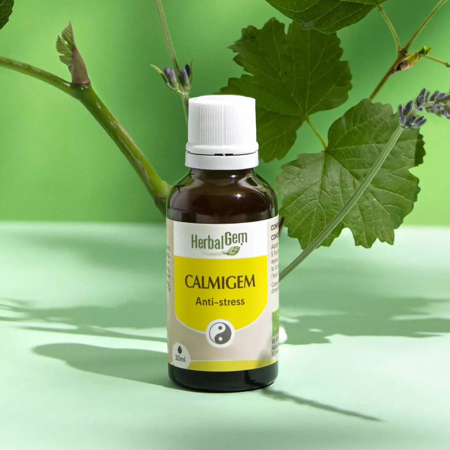 Solution buvable Anti-Stress – Aux Macérats de bourgeons concentrés