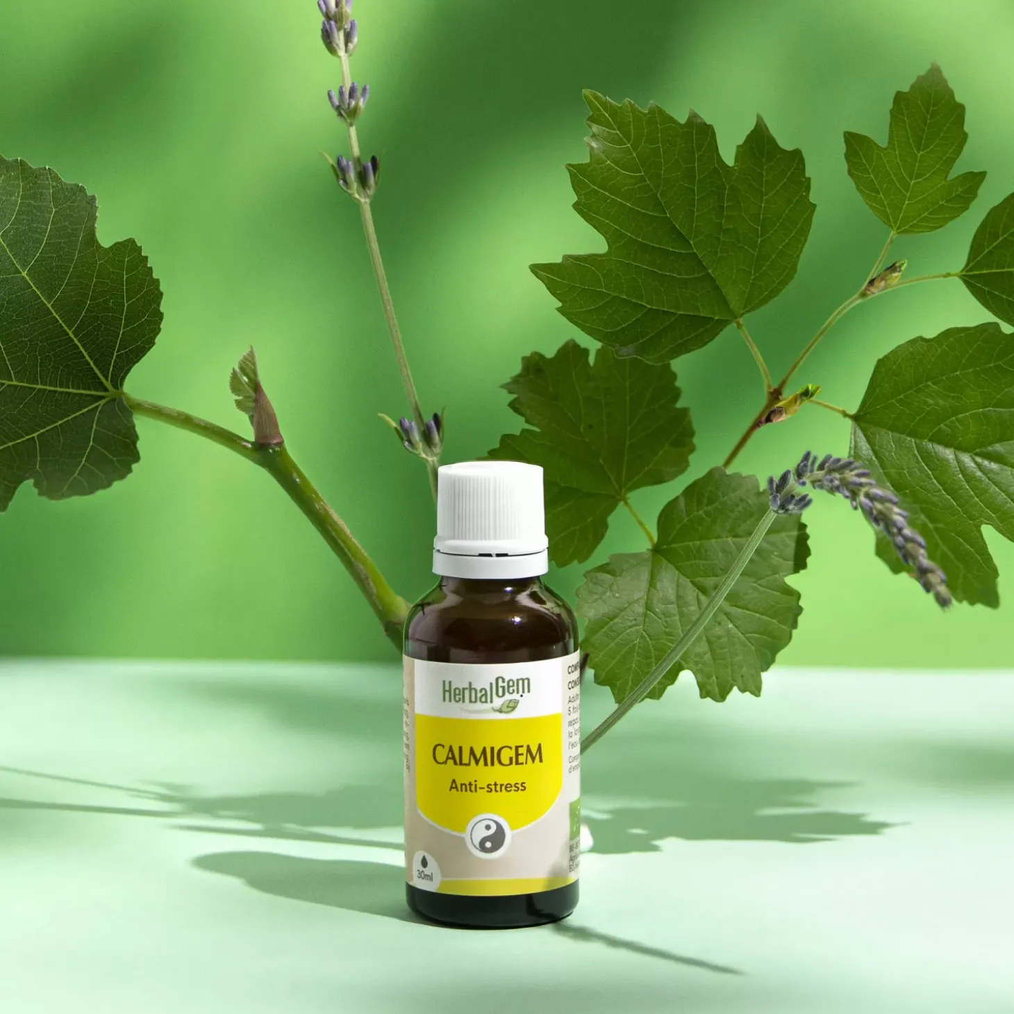 Solution buvable Anti-Stress – Aux Macérats de bourgeons concentrés