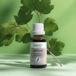 Solution buvable Articulations – Aux Macérats de bourgeons concentrés