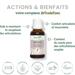 Solution buvable Articulations – Aux Macérats de bourgeons concentrés