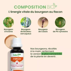 Solution buvable Epuisement physique – Aux Macérats de bourgeons concentrés