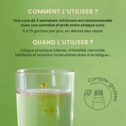 Solution buvable Epuisement physique – Aux Macérats de bourgeons concentrés