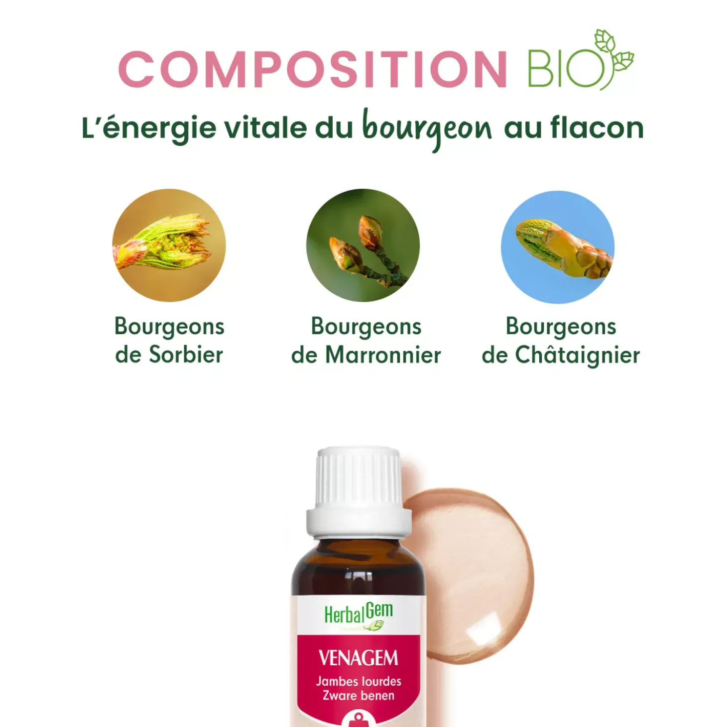 Solution buvable Jambes Lourdes – Aux Macérats de bourgeons concentrés