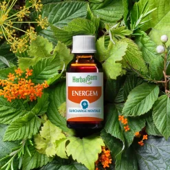 Solution buvable pour la Surcharge Mentale – Aux Macérats de bourgeons concentrés – HerbalGem
