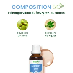 Solution buvable Sommeil – Aux Macérats de bourgeons concentrés