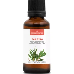 Tea tree (Melaleuca alternifolia)