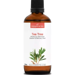 Tea tree (Melaleuca alternifolia)