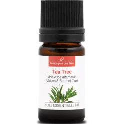 Tea tree (Melaleuca alternifolia)