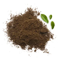Thé Hojicha Japonais bio