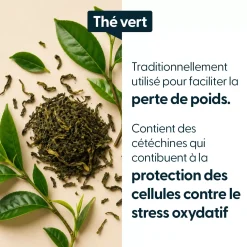 Thé Vert concentré