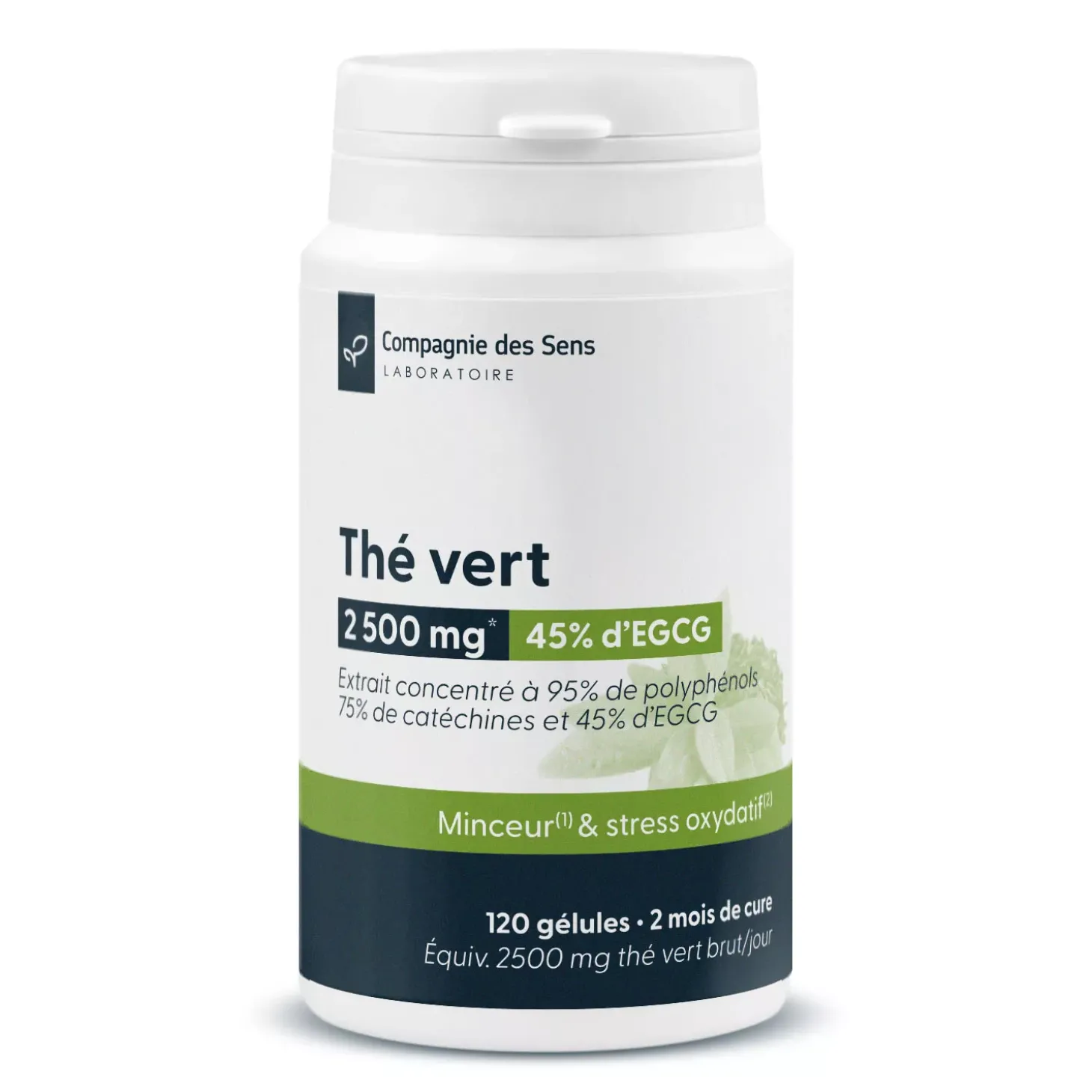 Thé Vert concentré