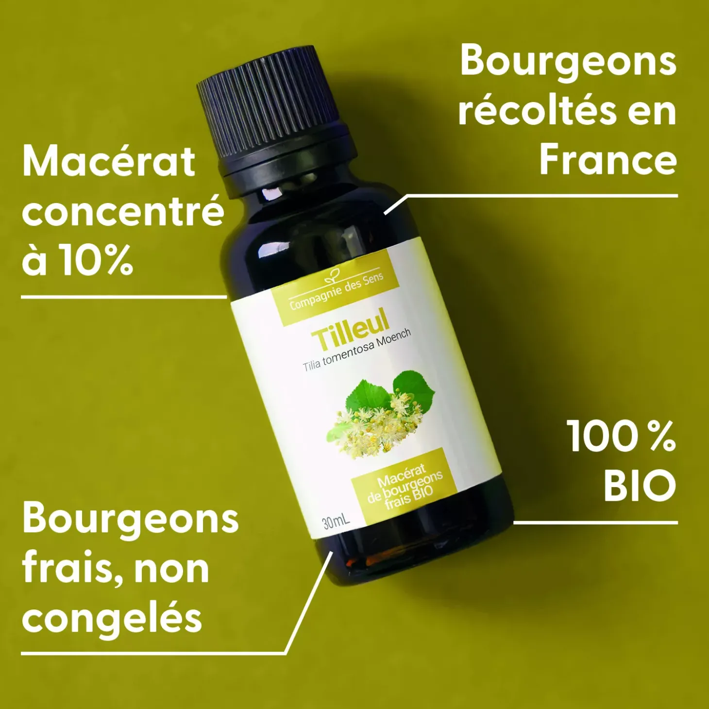 Tilleul bio (Tilia Tomentosa) – Macérat concentré de bourgeons frais