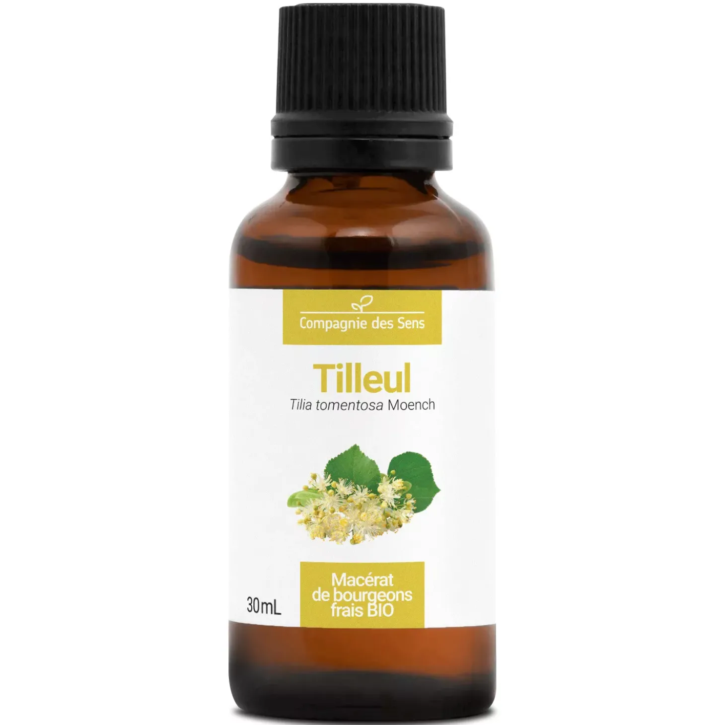 Tilleul bio (Tilia Tomentosa) – Macérat concentré de bourgeons frais