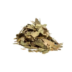 Tisane bio Ginkgo Biloba