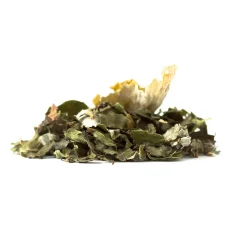 Tisane bio Menthe poivrée, Origan & Fenouil