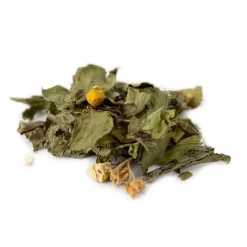 Tisane bio Thym, Menthe poivrée & Sauge – Gorge & Bronchites
