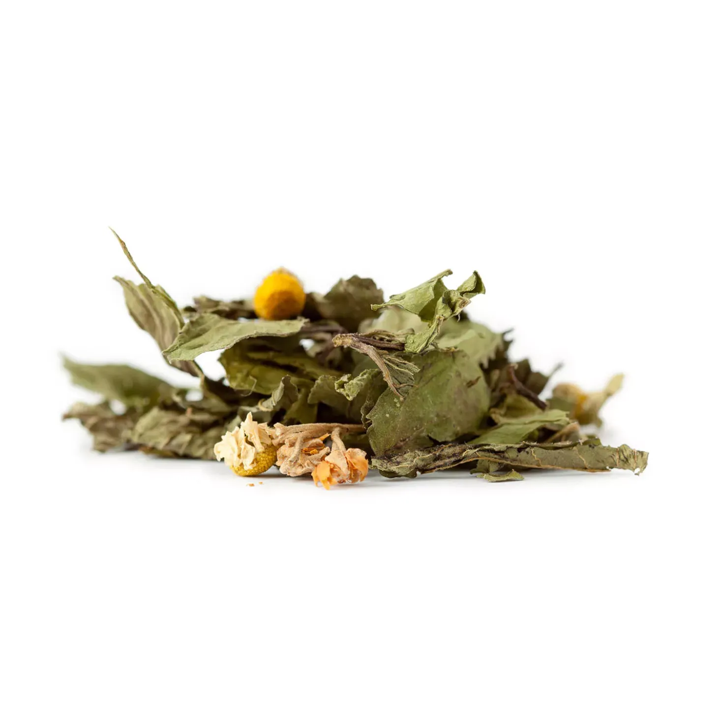 Tisane bio Thym, Menthe poivrée & Sauge – Gorge & Bronchites