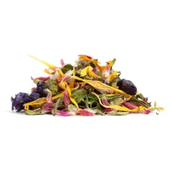 Tisane Bio Thym, Sureau & Menthe poivrée