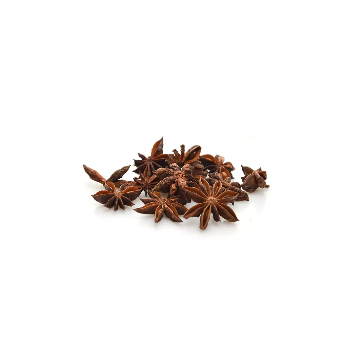 Tisane d’Anis Étoilé (Badiane) bio (Illicium Verum) – Fruits entiers en vrac pour infusion