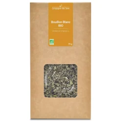 Tisane de Bouillon Blanc bio (Verbascum Thapsus) – Sommités fleuries coupées en vrac pour infusion