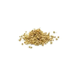 Tisane de Camomille Matricaire bio (Matricaria Chamomilla) – Fleurs entières en vrac pour infusion