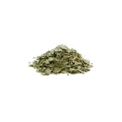 Tisane de Cassis bio (Ribes Nigrum) – Feuilles coupées en vrac pour infusion