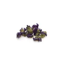 Tisane de Mauve (Malva Sylvestris) – Fleurs entières en vrac pour infusion